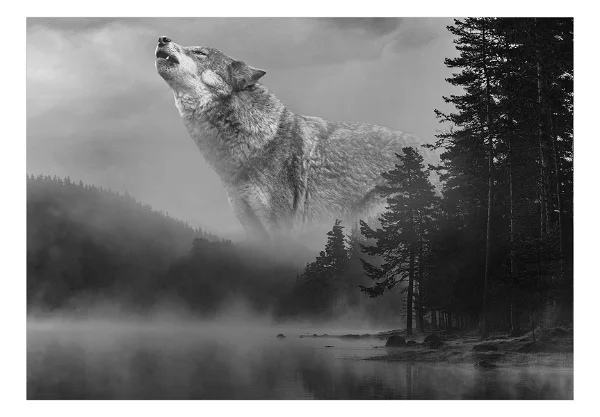 Zelfklevend behang Bosgeheimen