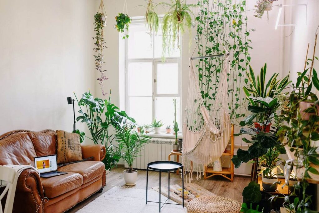 levensecht biofiel huis ontwerp