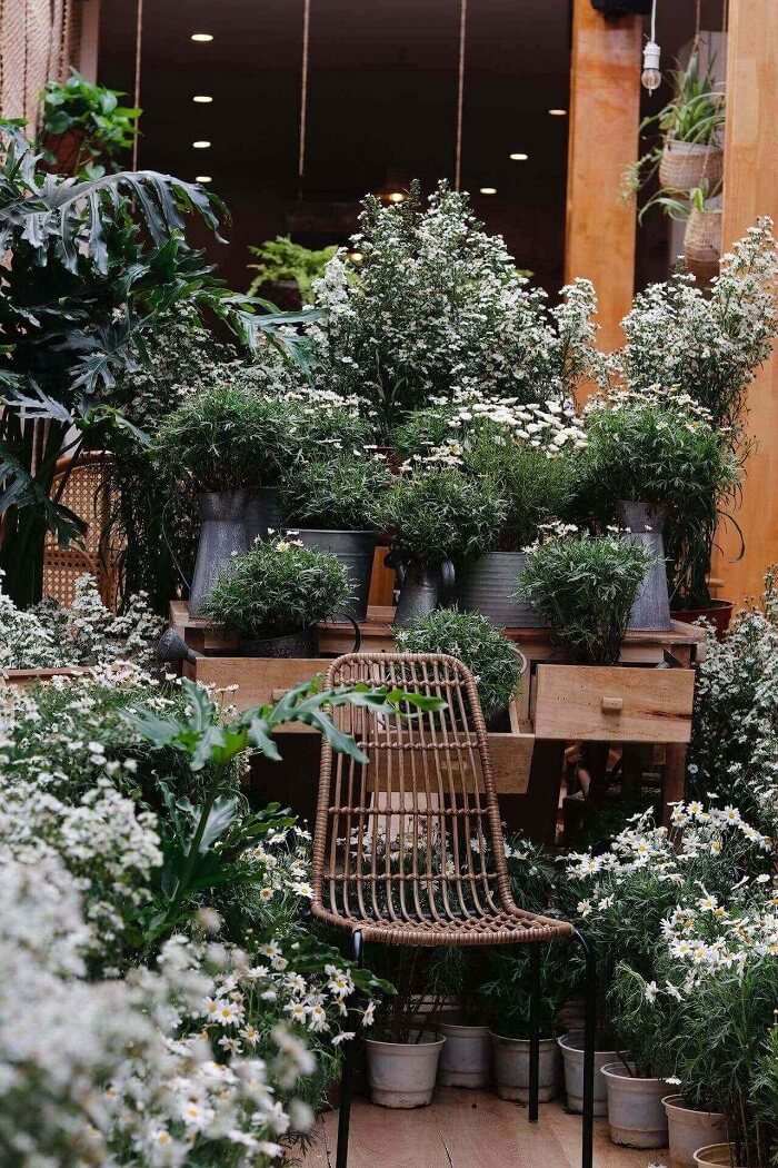 voorbeeld van een wintertuin