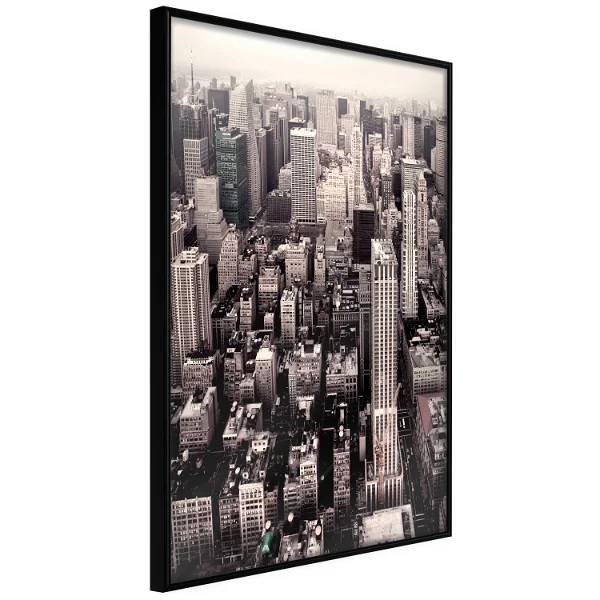 Poster 'New York from a Bird's Eye View'
