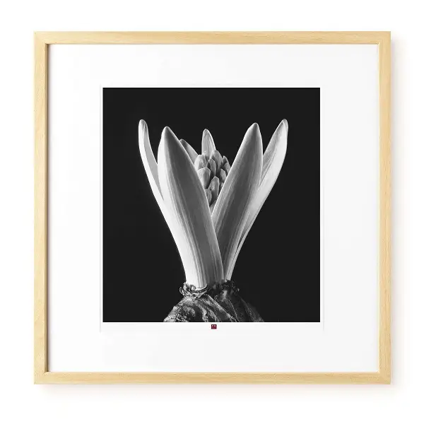 a black and white inspired flower in beige frame