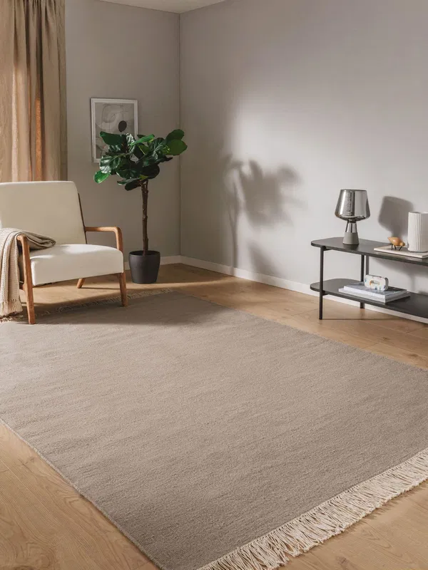 Minimalist living room with a light gray rug, white armchair, potted plant, and small black side table.